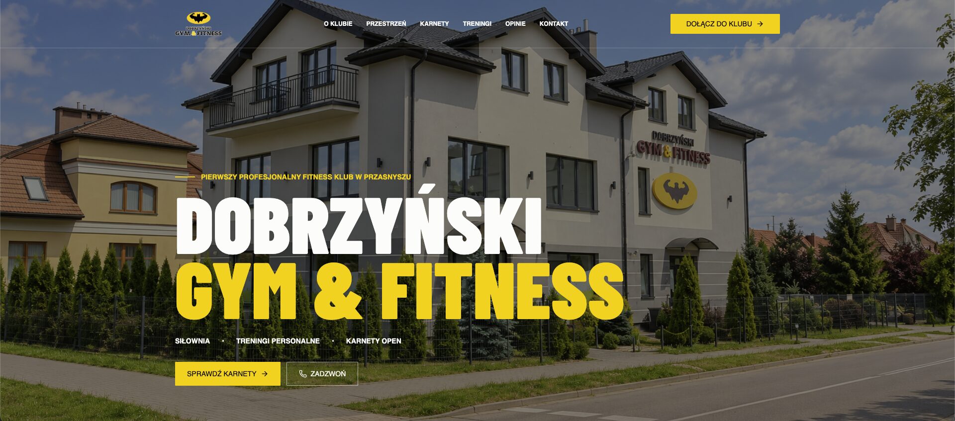 Projekt strony Dobrzyński Gym & Fitness — Fitness